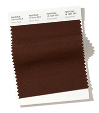 PANTONE 19-1234.jpg